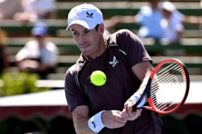 亚博-关于穆雷回归赛场，大胜首场状态亮眼，雄鹿观众沸腾！的信息